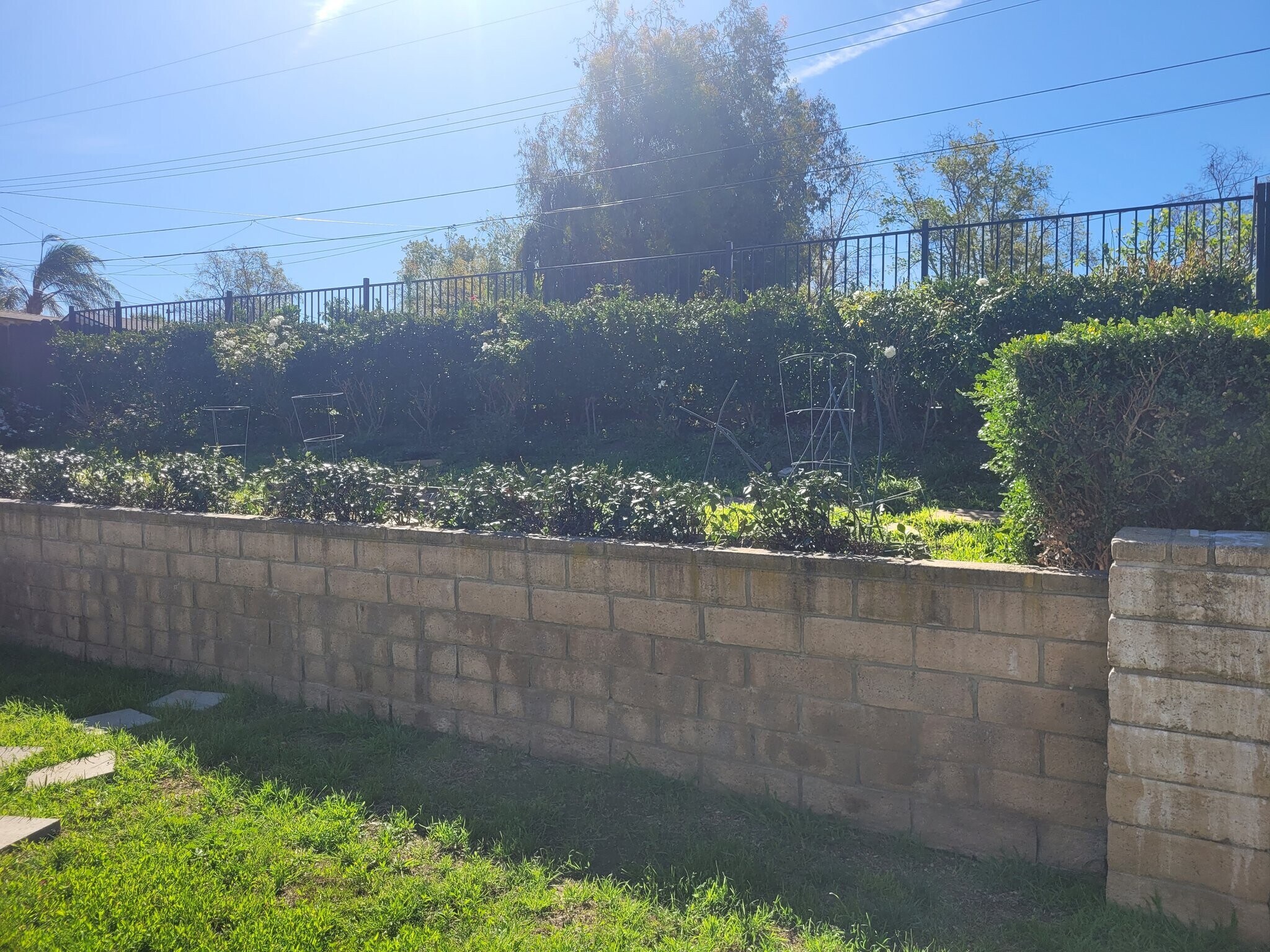 Building Photo - 639 Calle Tulipan
