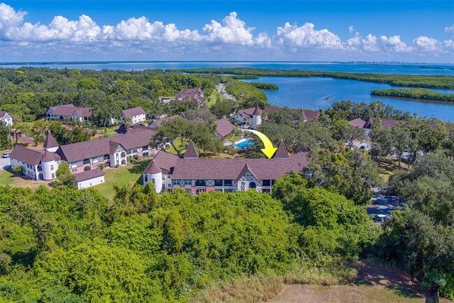 Building Photo - 240 N Bayshore Blvd
