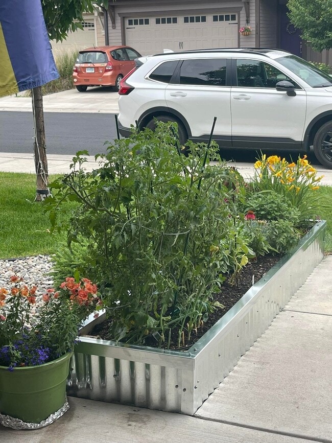 Building Photo - 3091 Lori Ln