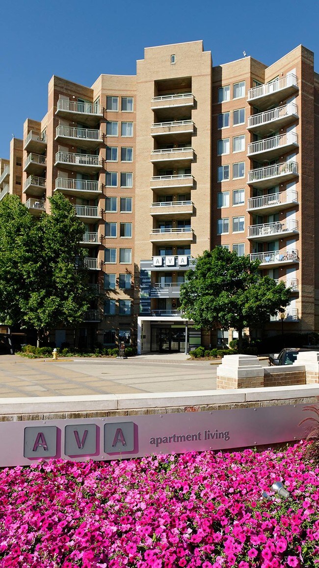 ava ballston arlington va apartment finder