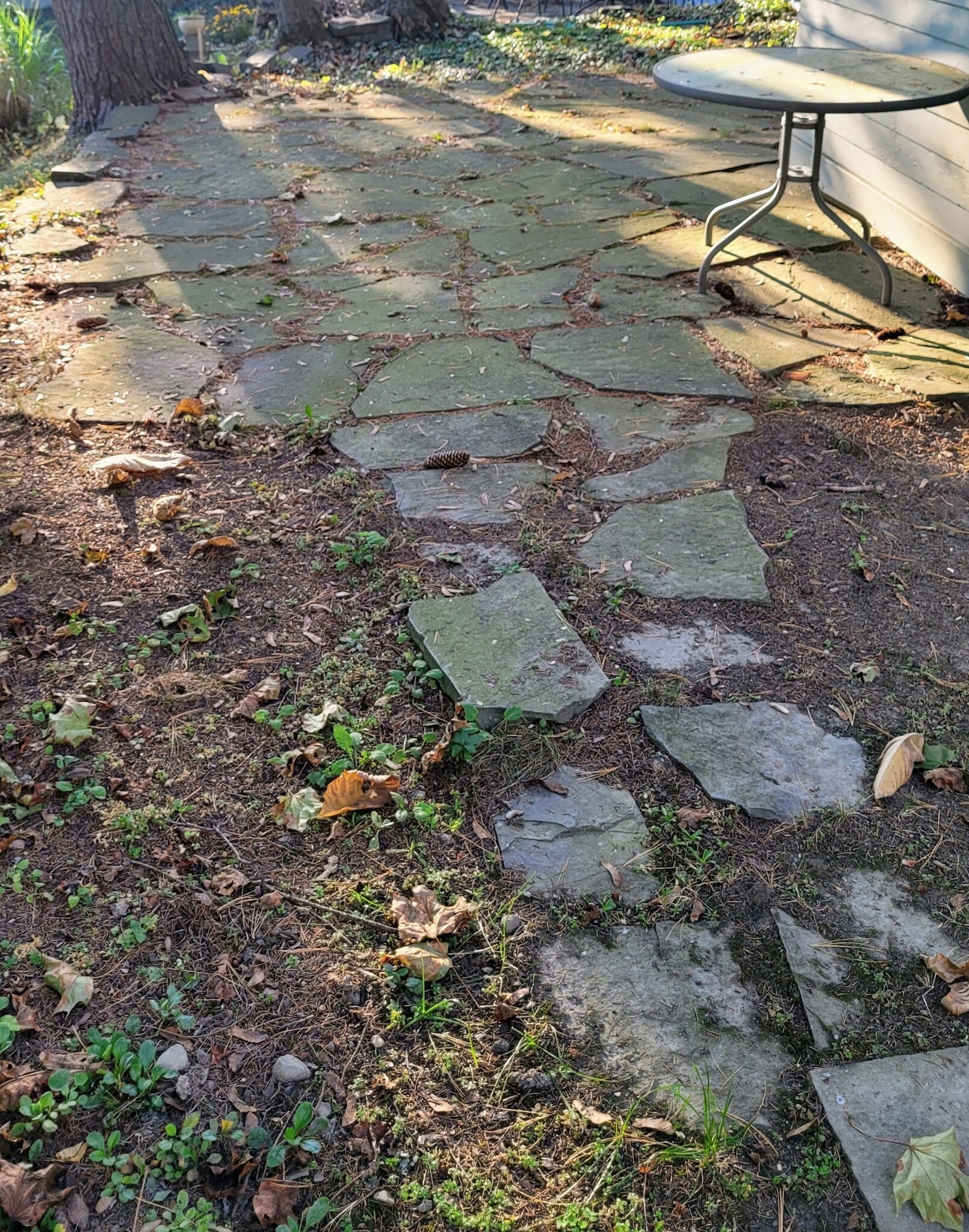 Building Photo - 423 Mitchell St