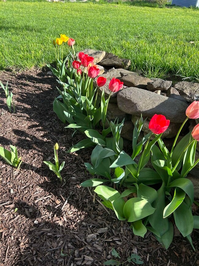 Building Photo - 293 Bear Hill Rd