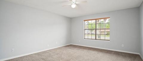 Building Photo - 2029 Coral St
