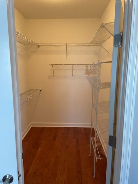 master bd/walk-in closet - 824 Wintercreeper Dr