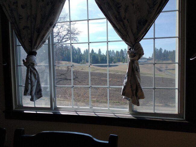 S view from dining - 8209 S Hilby Rd