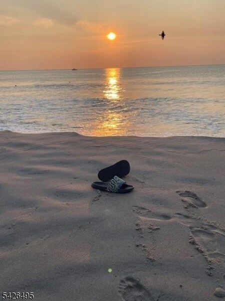 Building Photo - 217 Newark Ave