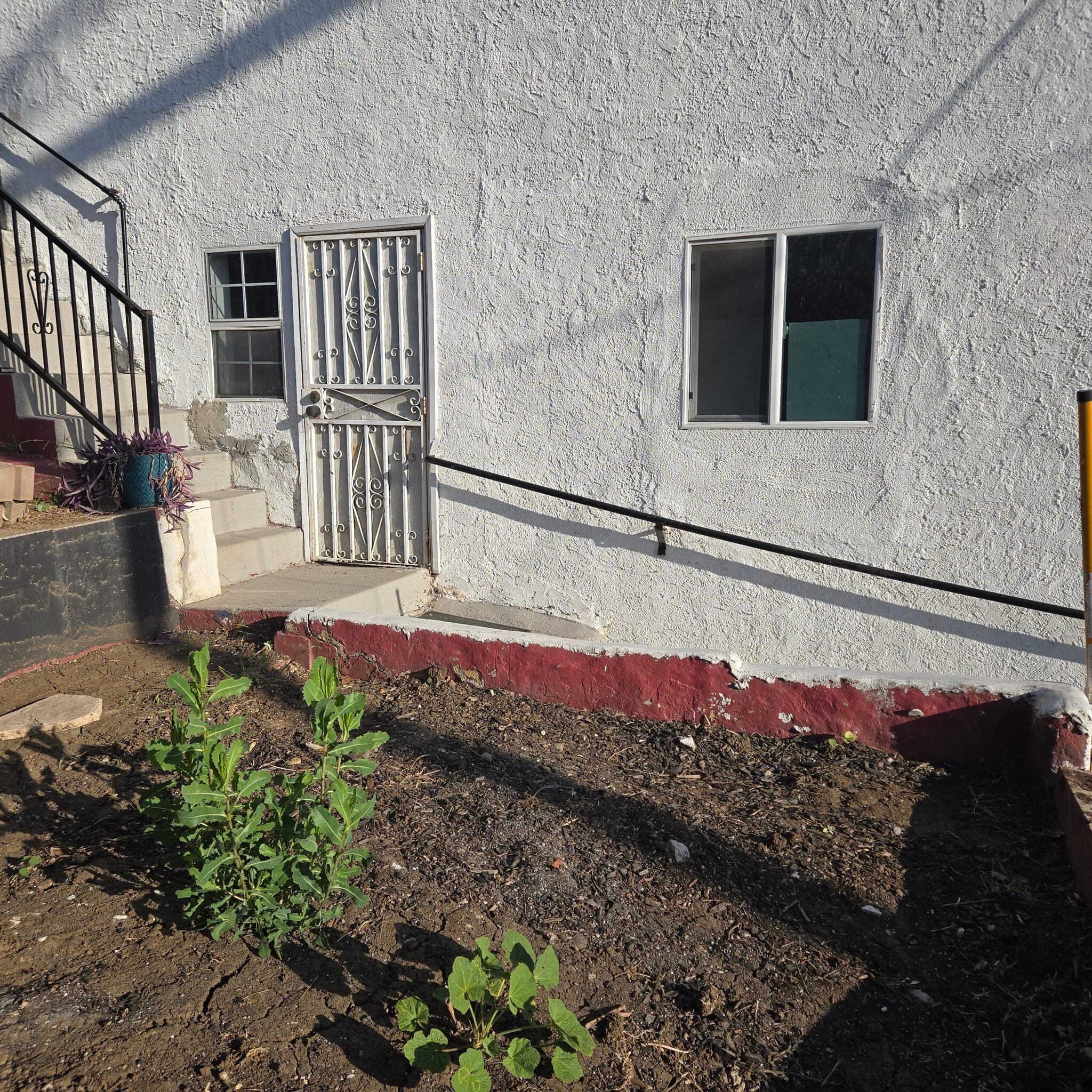 Side Door from Garden - 1272 Van Pelt Ave