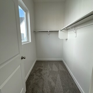 Building Photo - 238 Paramount Ave