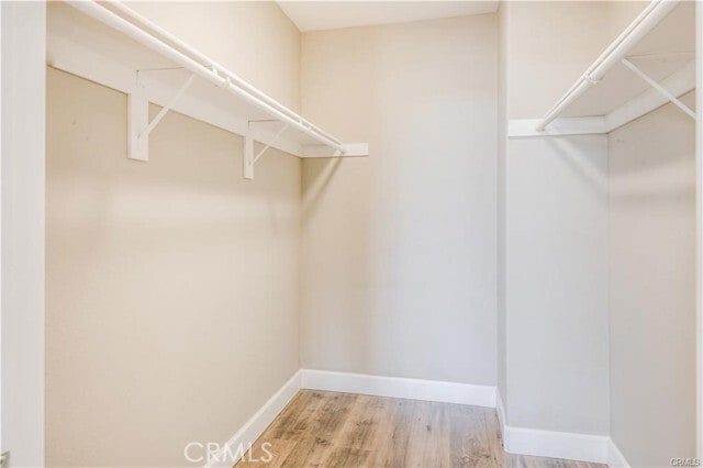 Building Photo - 2528 Plaza del Amo