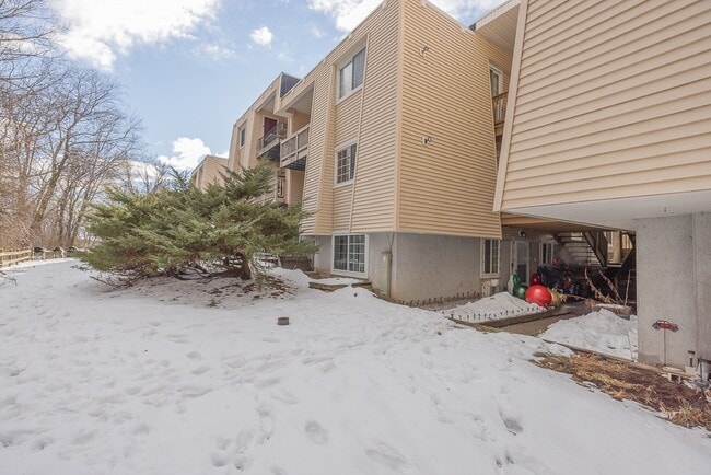 Building Photo - 529 Fox Run Ln