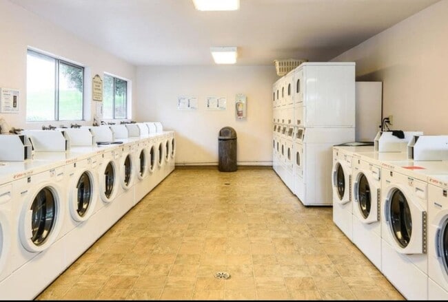 Building Photo - Spacious and Comfortable Condo -  A/C - Central Location - Great Amenities - Natural Light