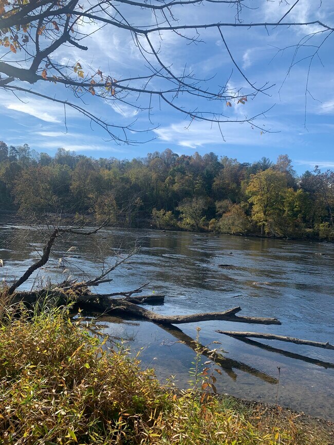 Building Photo - 207 Riverside View Dr