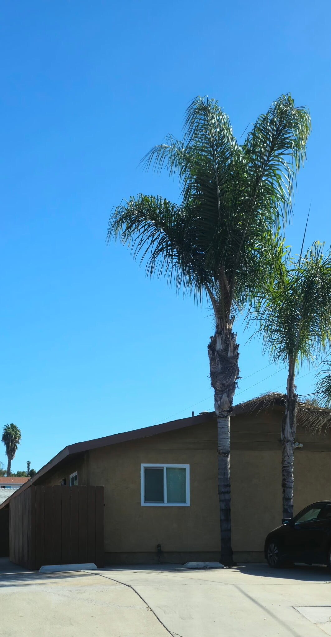 Building Photo - 2619 Bancroft Dr