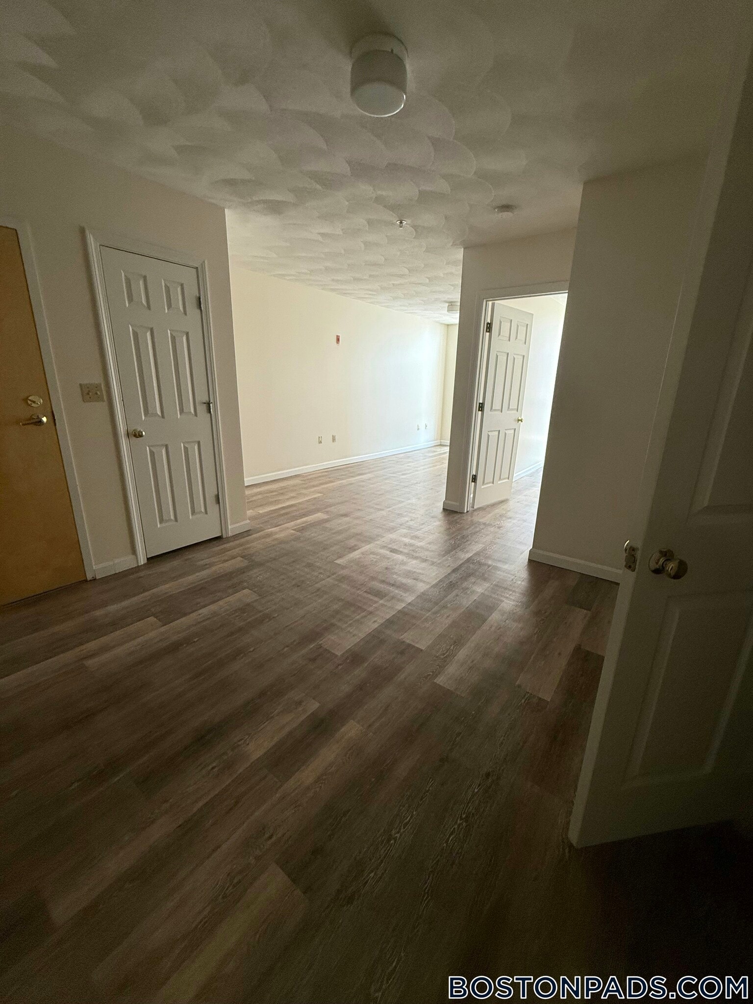 Building Photo - 81 Essex St