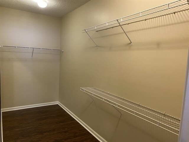 Building Photo - 2879 Pebblewood Ln