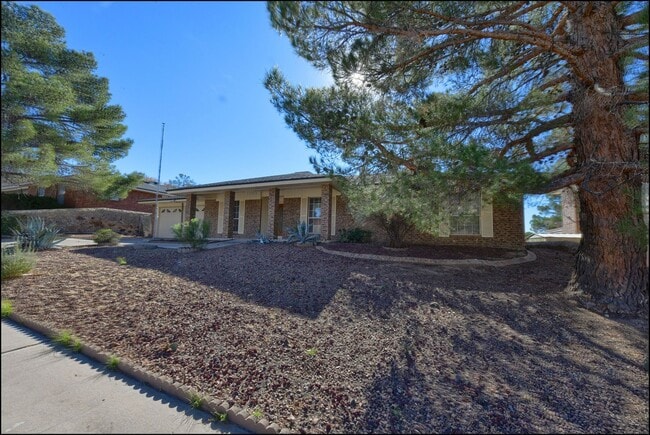 Building Photo - Available now!