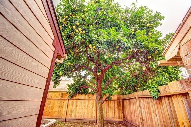 Building Photo - 11818 Plumpoint Dr