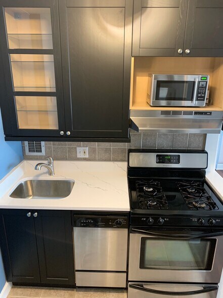 modern renovated kitchen, custom cabinets, quartz, full stainless appliances - 1121 Arlington Blvd