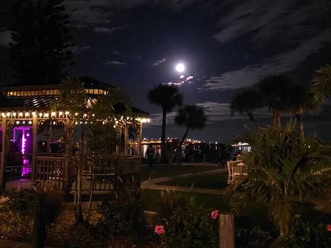 Building Photo - 200 S Banana River Dr