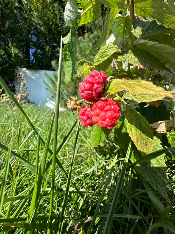 Building Photo - 4740 Canterbury Rd