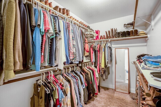 Building Photo - 4115 Steven Falls Ct