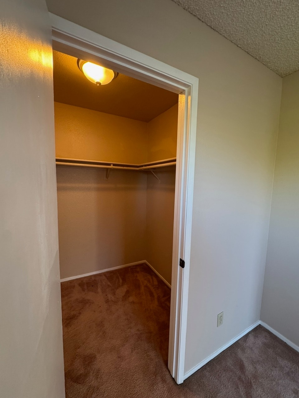 Building Photo - 1212 Jamie Loop