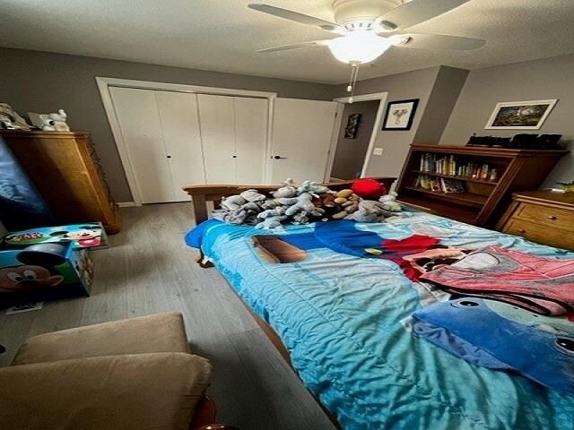 Building Photo - 143 Wason Rd