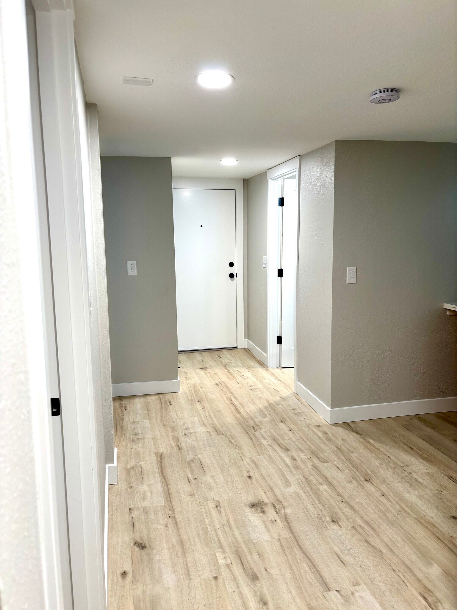 Well lit, new doors throughout - 2026 Lombard Ave