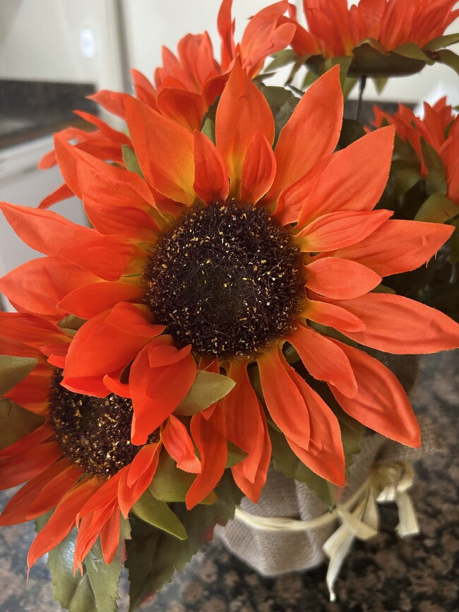 Building Photo - 3000 Keller St