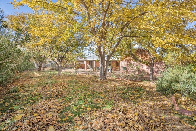 Building Photo - 3 Bedroom 2 Bathroom Home - Dogs Allowed & Large Backyard!