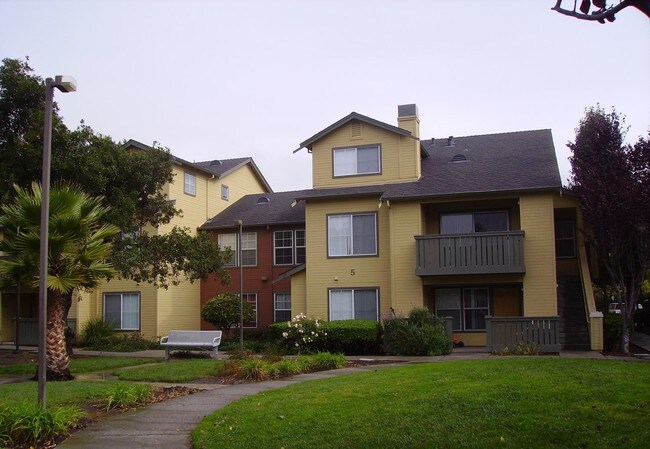 Building Photo - Bay Oak Apartments