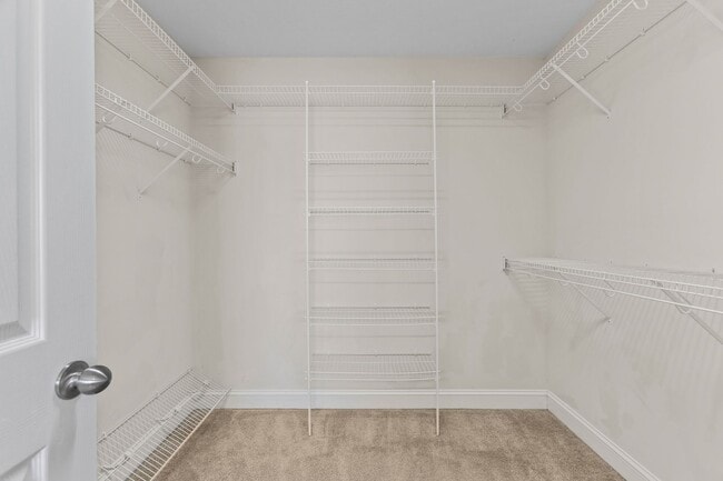 Building Photo - 907 Stagecoach Dr