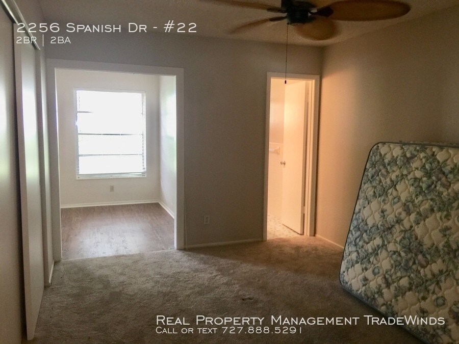 On Top Of The World Newly Updated Clearwater Fl Apartment Finder