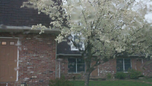 Wooded Setting - 813 E Franklin St