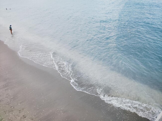 Building Photo - 12938 Ellison Wilson Rd