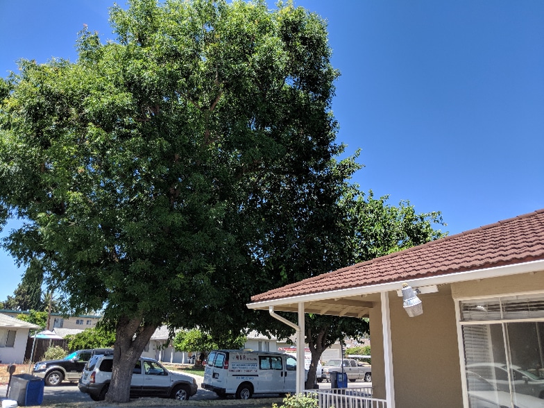 Building Photo - 936 Princess Anne Dr