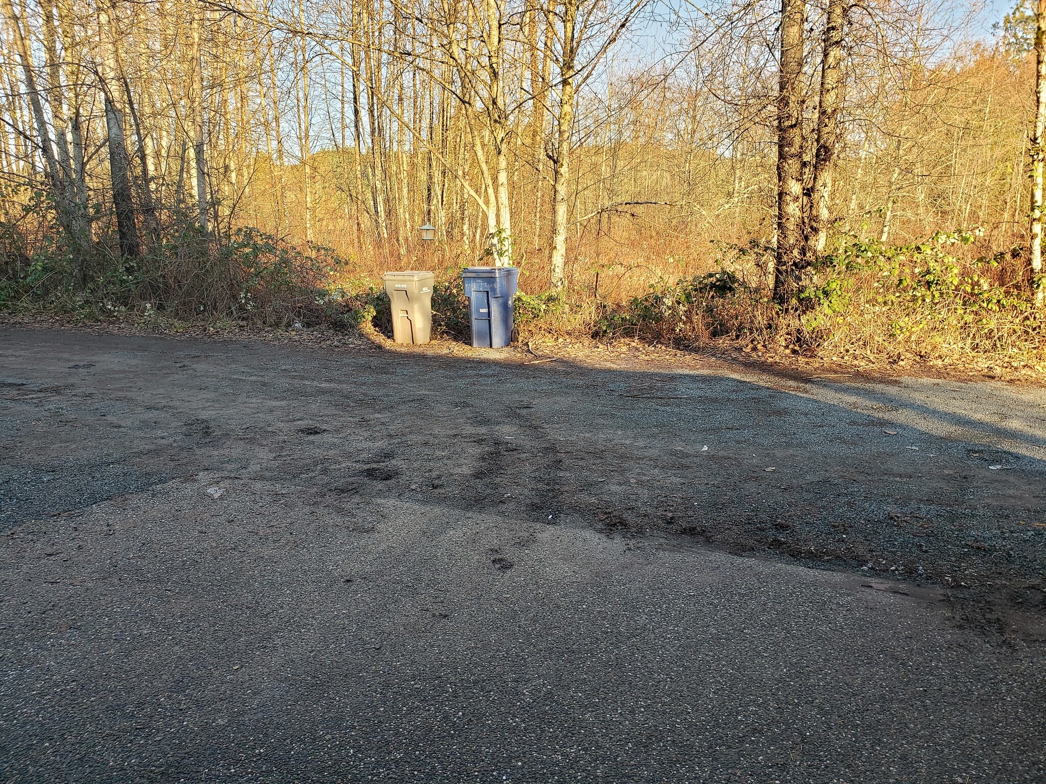 View across the road - 504 Alder Plz