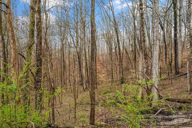 Building Photo - Harriman 37748 - Charming 2-bedroom, 1.5-bathroom Home nestled on 3.8 acres of woods - Contact Ch...