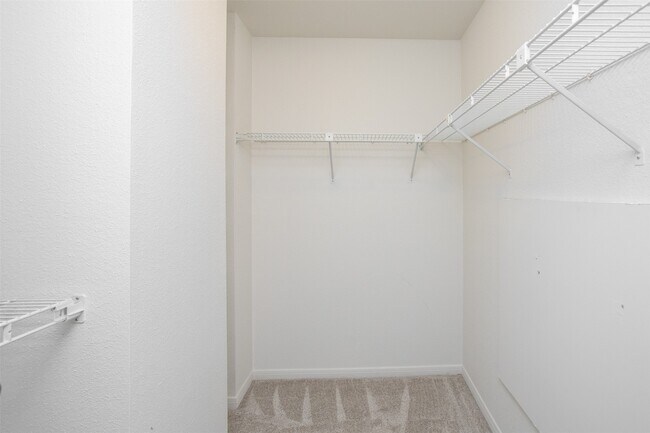 Building Photo - 9800 Pagewood Ln