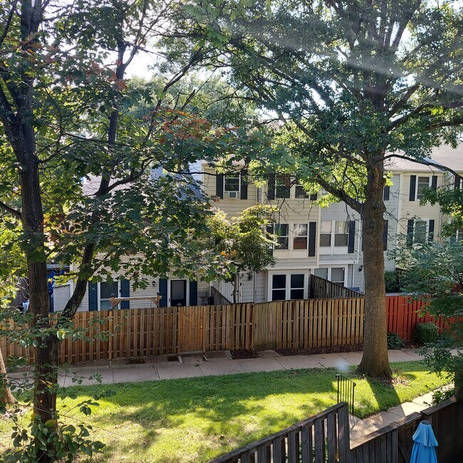 Building Photo - 13419 Demetrias Way