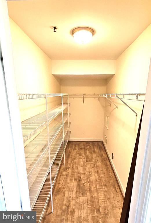 Building Photo - 904 Martell Ct