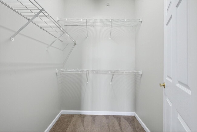 Building Photo - 2510 Friedland Pl