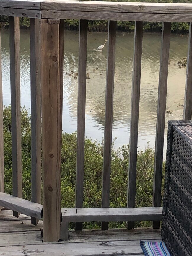 Building Photo - 208 W Saturn Ln