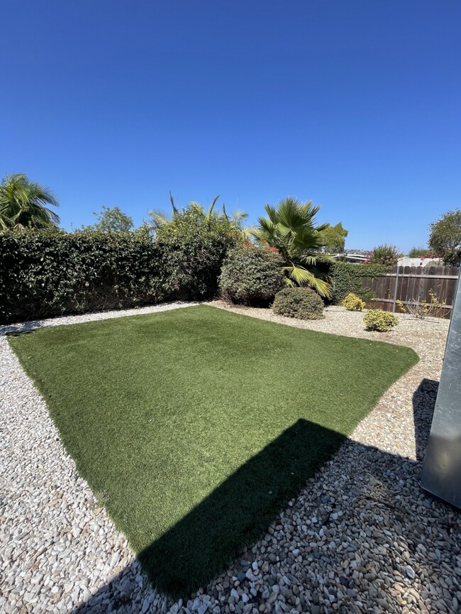 Building Photo - Two full kitchens, two washers & dryers, two dishwashers!