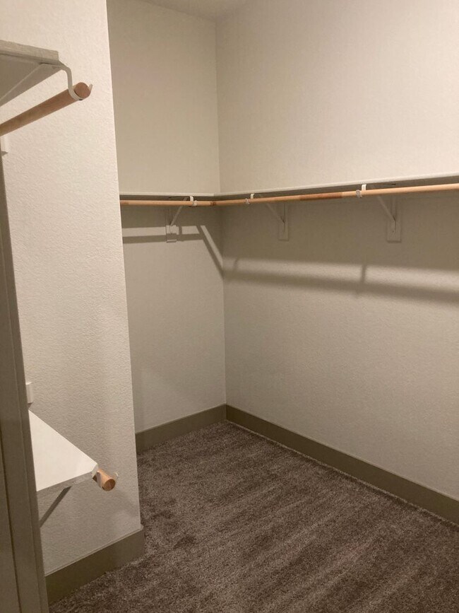 Building Photo - Moraga Single Level Beauty