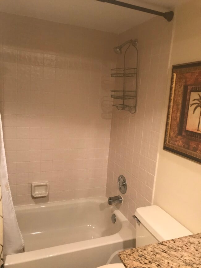 2nd bath - 225 Deer Creek Blvd