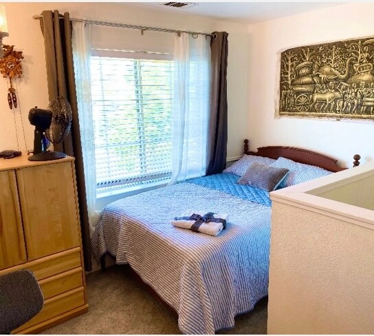 Window facing front street - 372 Chaucer Dr