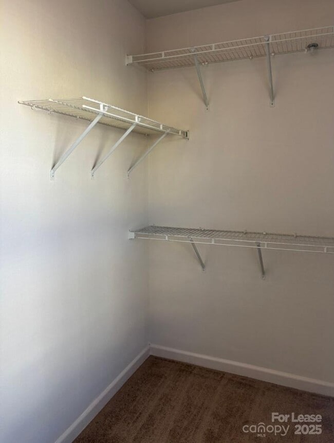 Building Photo - 1124 New Day Ct