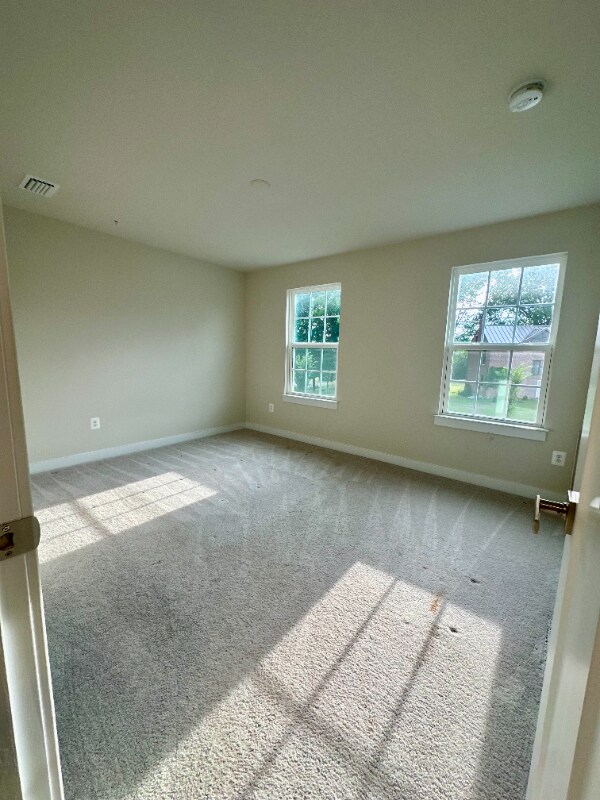 Building Photo - 5311 Striped Maple St