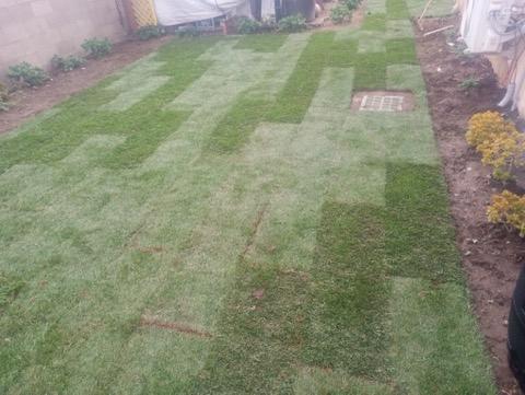 Building Photo - 25122 Ebony Ln